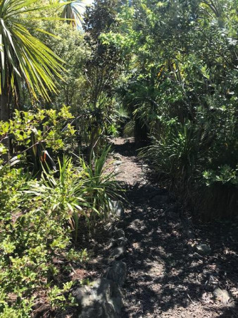 native pathway rock garden