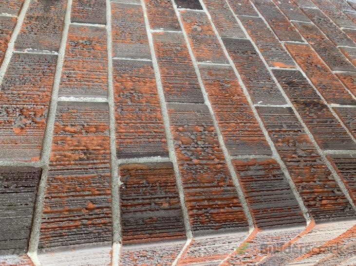 Light plastering over brick external ( 420527) Builderscrack