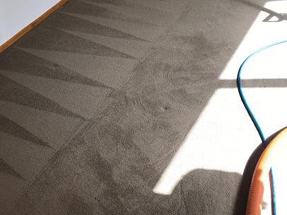 Carpet cleaning services