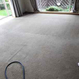 Cleaned carpet