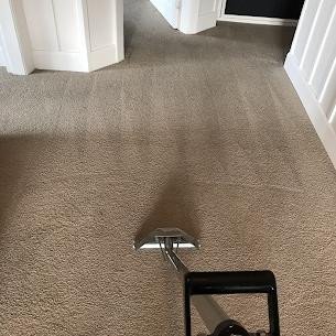 carpet cleaning