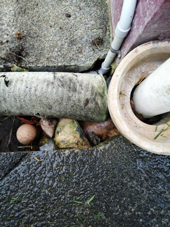 need-to-install-a-rain-drain-and-connect-to-rain-water-drain-431854