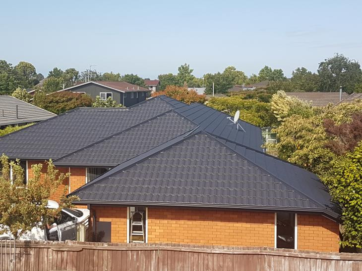 Roof repair and painting casebrook