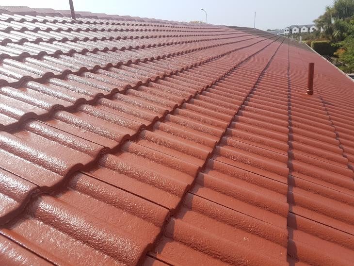 Roof clean. Ridges flexi pointed. And roof painted.  Kaiapoi