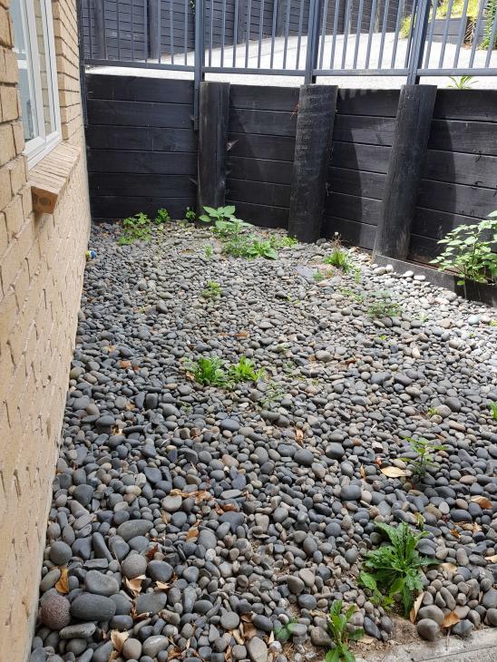 Backyard Landscaping (# 482542) | Builderscrack