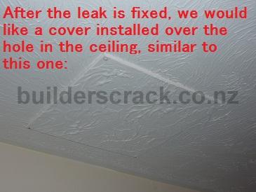 Shower Leaking Into Ceiling Below | Shelly Lighting