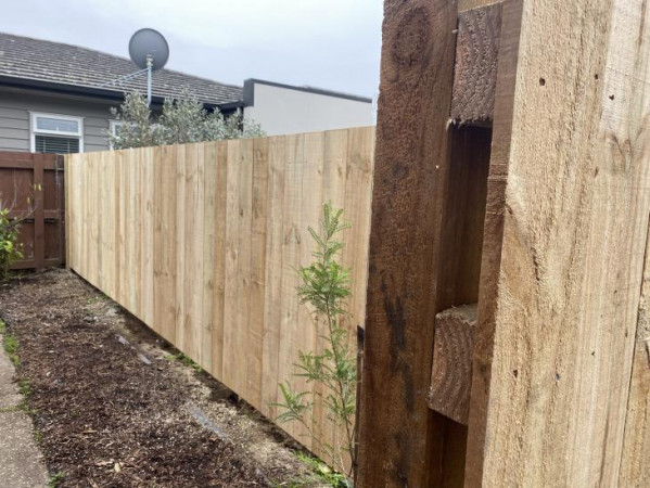 Standard timber paling fence