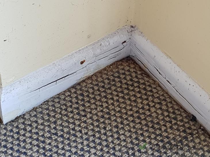 The wood skirting board became swelling because of the water damage  incident occurs. Stock Photo by ©gracethang 259838944