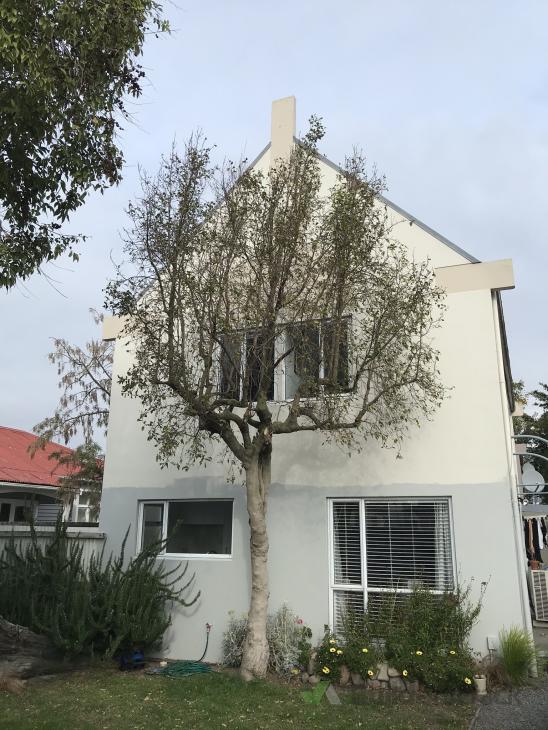 Exterior painter for top of double story house ( 516111