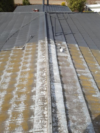 Demoss. Repair. Revhip. Recoat. Rangiora