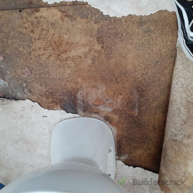 Remove and replace toilet floor ( 529337) Builderscrack