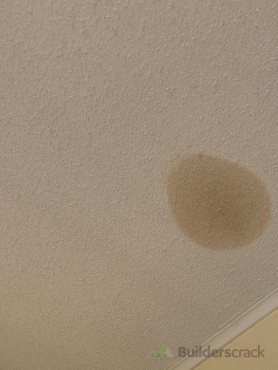 Painting over ceiling asbestos ( 529880) Builderscrack