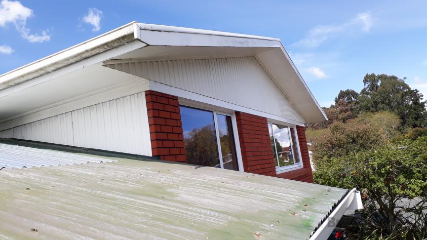 Roof painting ( 539777) Builderscrack