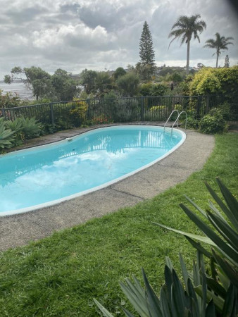 Pool removal and Landscaping-Before