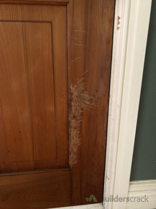 Wooden Front Door Repair ( 542927) Builderscrack