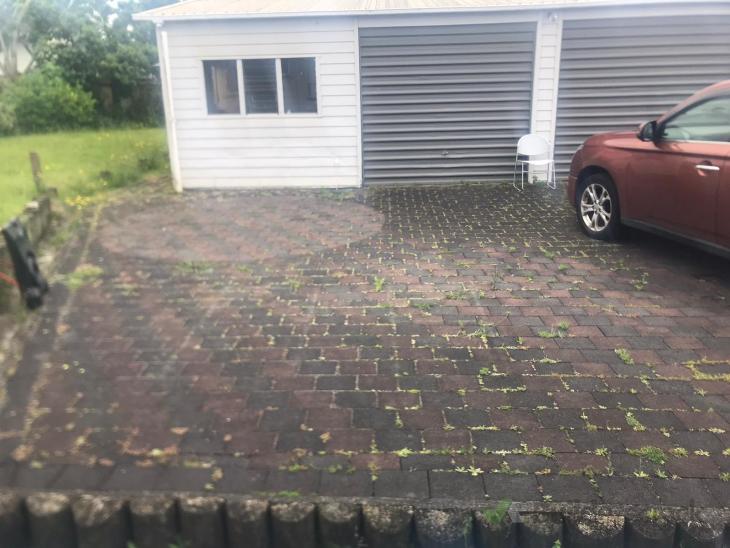 Spray weeds growing between concrete pavers ( 552494) Builderscrack