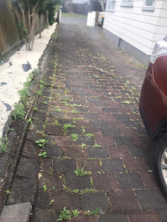 Spray weeds growing between concrete pavers ( 552494) Builderscrack