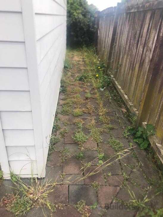 Spray weeds growing between concrete pavers ( 552494) Builderscrack