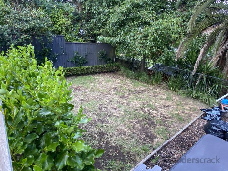 Lawn rehabilitation, soft landscaping, & gardening (# 557062) | Builderscrack