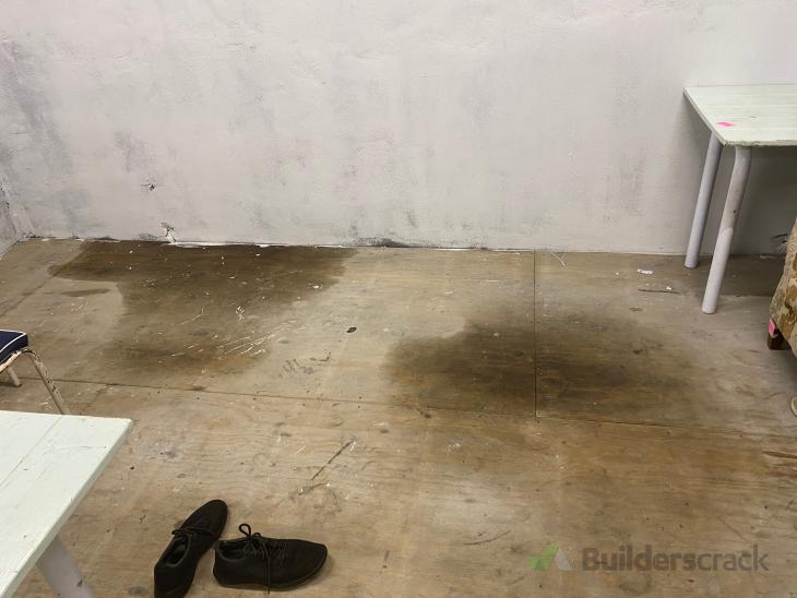 Ply floor replacement ( 562124) Builderscrack