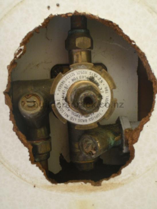 Reline Shower + new mixer/shower head ( 16534) Builderscrack