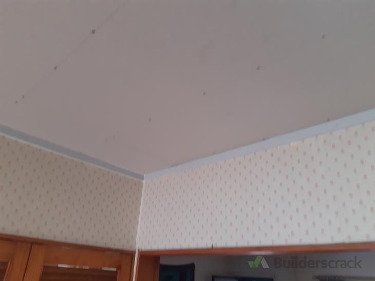 Plaster and Paint kitchen ceiling ( 571194) Builderscrack