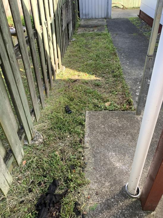 Cleaning weeds & removal of garden waste ( 574010) Builderscrack