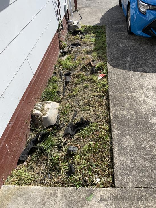 Cleaning weeds & removal of garden waste ( 574010) Builderscrack
