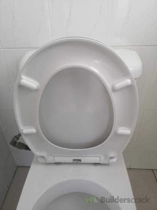Replace toilet seat ( 578586) Builderscrack