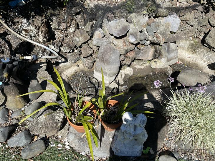 Re build outside fish pond (# 585200) | Builderscrack