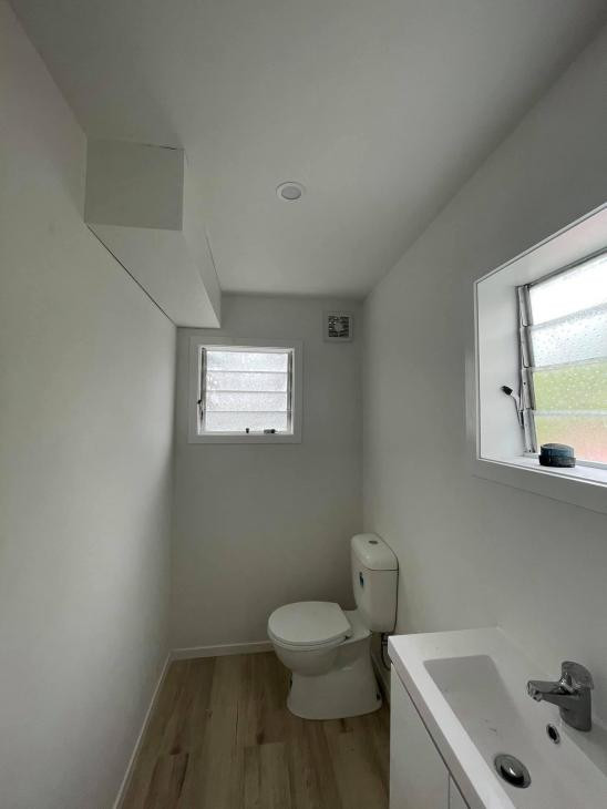 Painting the toilet