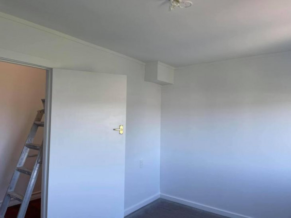 Painting doors and walls