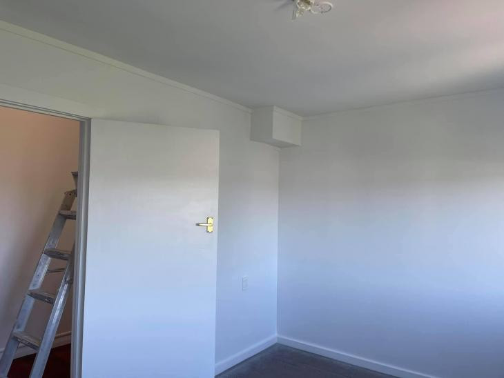 Painting doors and walls