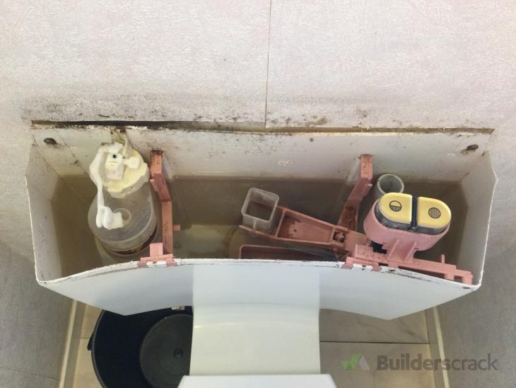 Caroma Toilet Water Pipe Leaking 2 ( 592665) Builderscrack