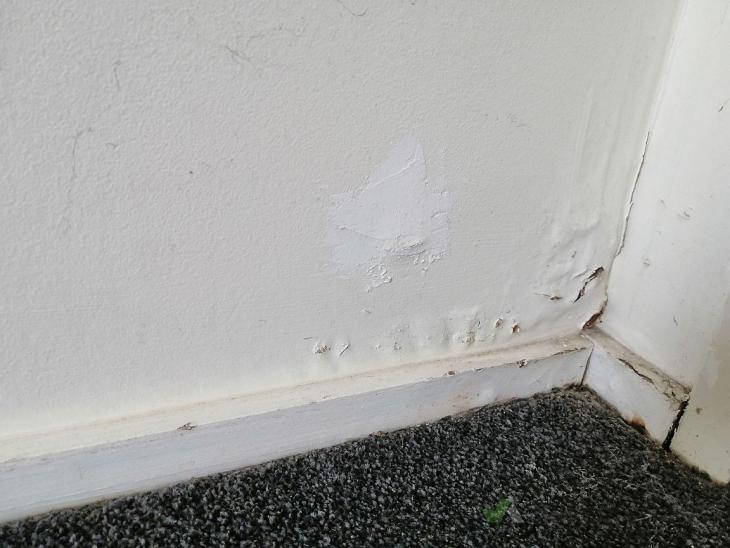 Bathroom water leak and water damage in surrounding walls (# 597813 ...