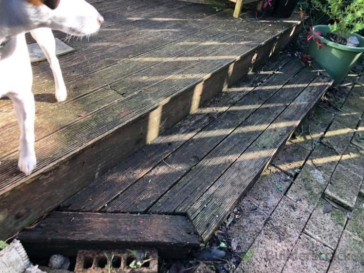 Decking Repair ( 600014) Builderscrack