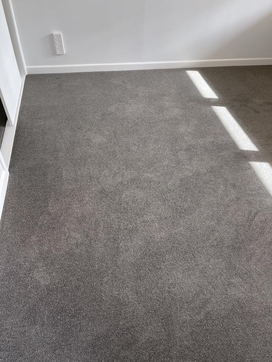 Solution Dyed carpet