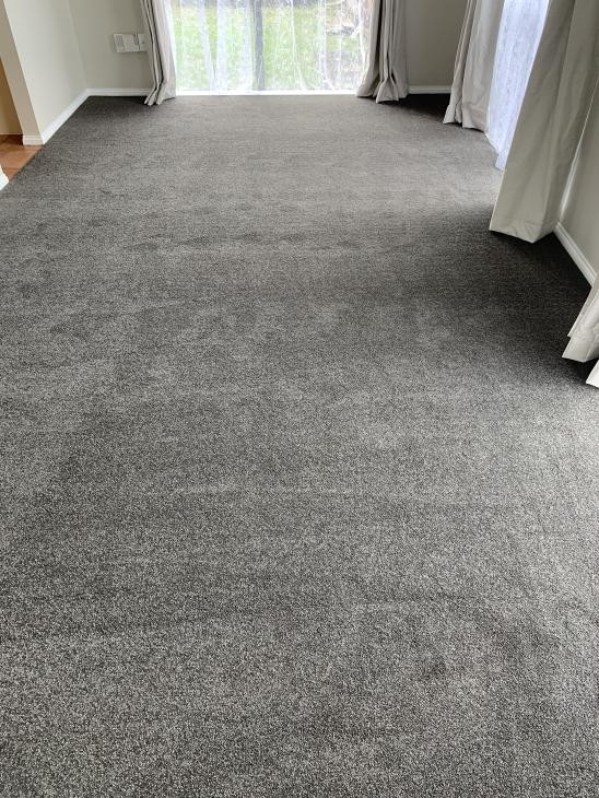 400z Carpet
