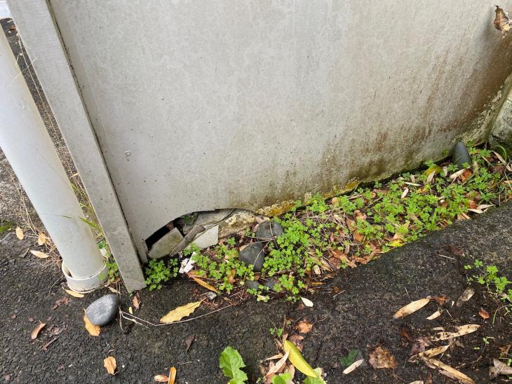 Repair damage to exterior walls, gutter leak ( 607794