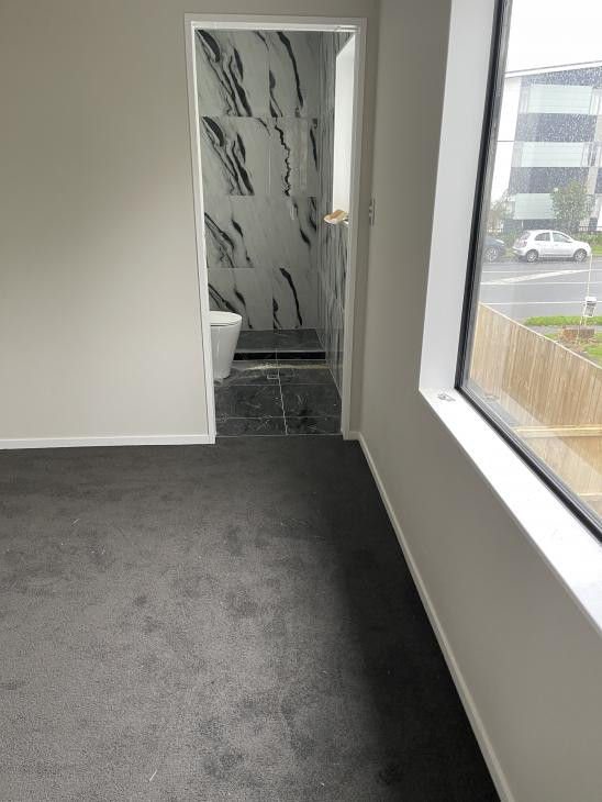 Carpet solution dyed nylon