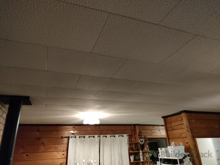 Michelangelo Ceiling Tiles Nz Shelly Lighting