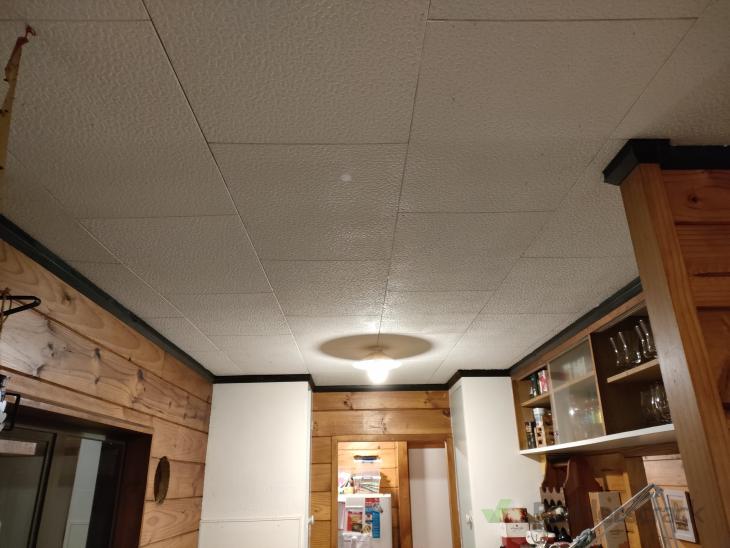 Michelangelo Ceiling Tiles Nz Shelly Lighting