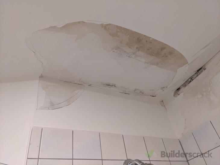 Replace mouldy ceiling area in bathroom repaint bathroom ( 626669