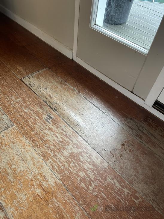 Water damage to floor boards ( 631431) Builderscrack