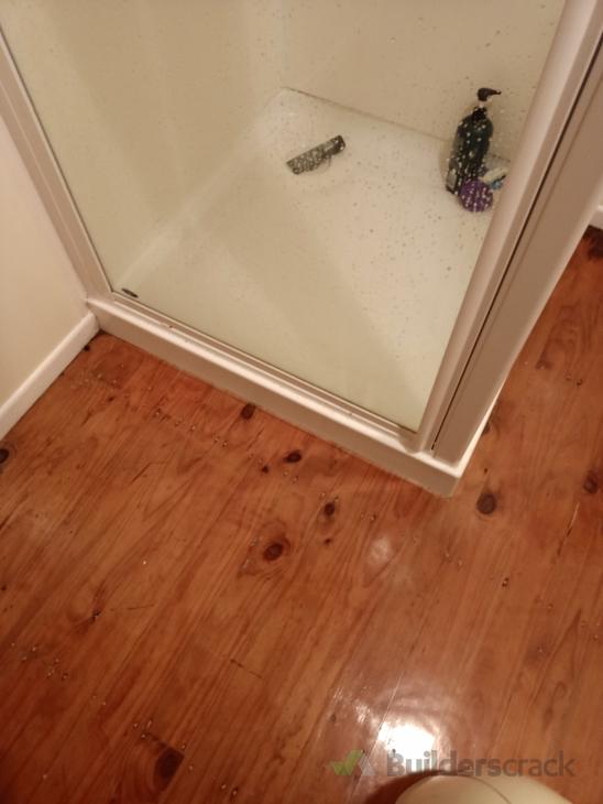 Reseal or replace shower ( 631910) Builderscrack