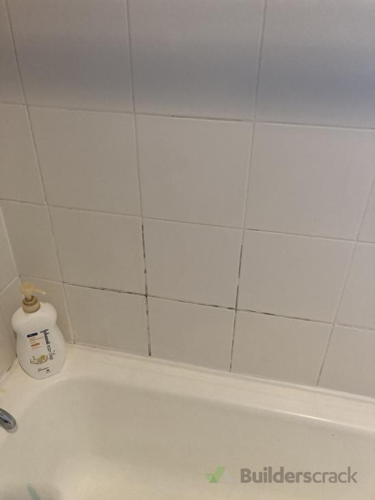 Leaking tiles in bathroom. ( 633606) Builderscrack