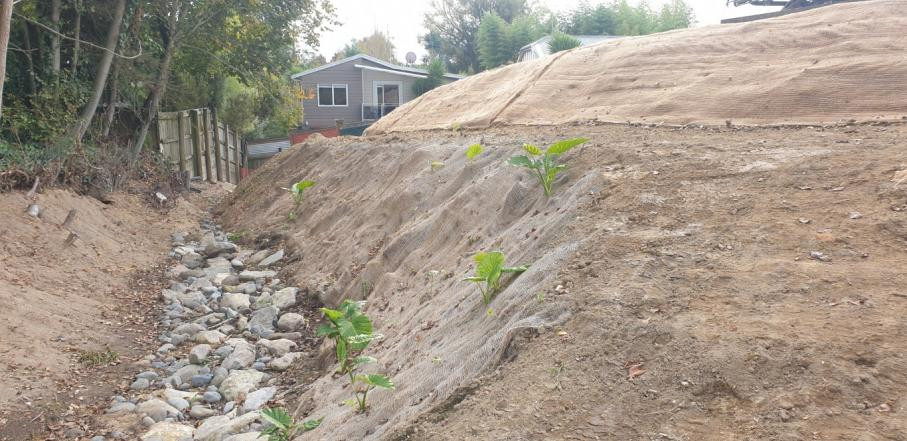 from bottom of gully banks weed matted , rocks in the original creek after it has been terraced and rocks put in old creek bed