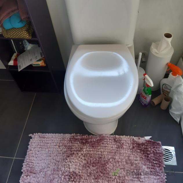 Repair/replace toilet Cistern and fix loose toilet seat ( 635730