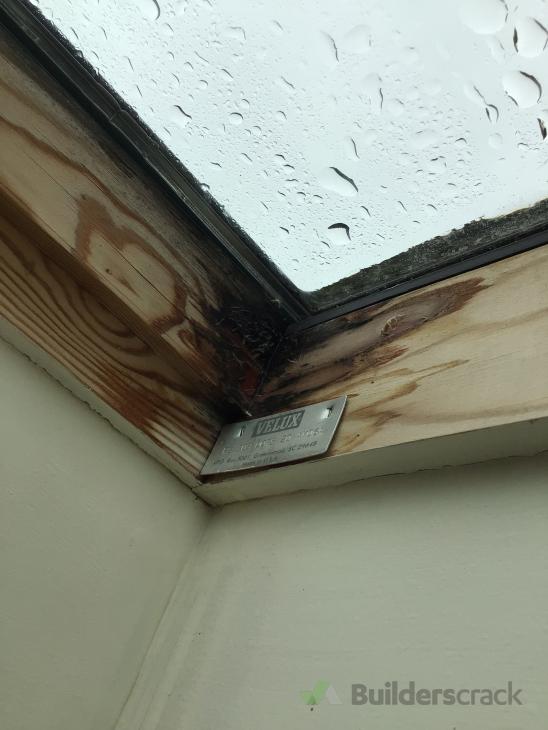 Leaking skylights ( 636185) Builderscrack