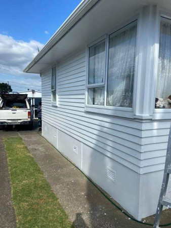 PaintingMangere